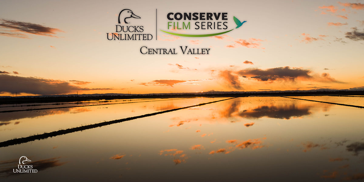 1200x600 Title Central Valley